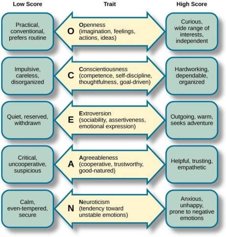 8. Five Factor Model of Personality